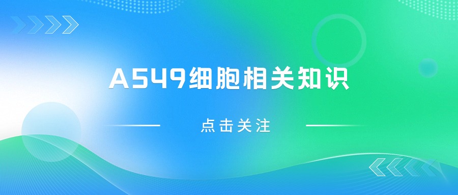 關(guān)于A549細胞，您不得不知道的一些操作