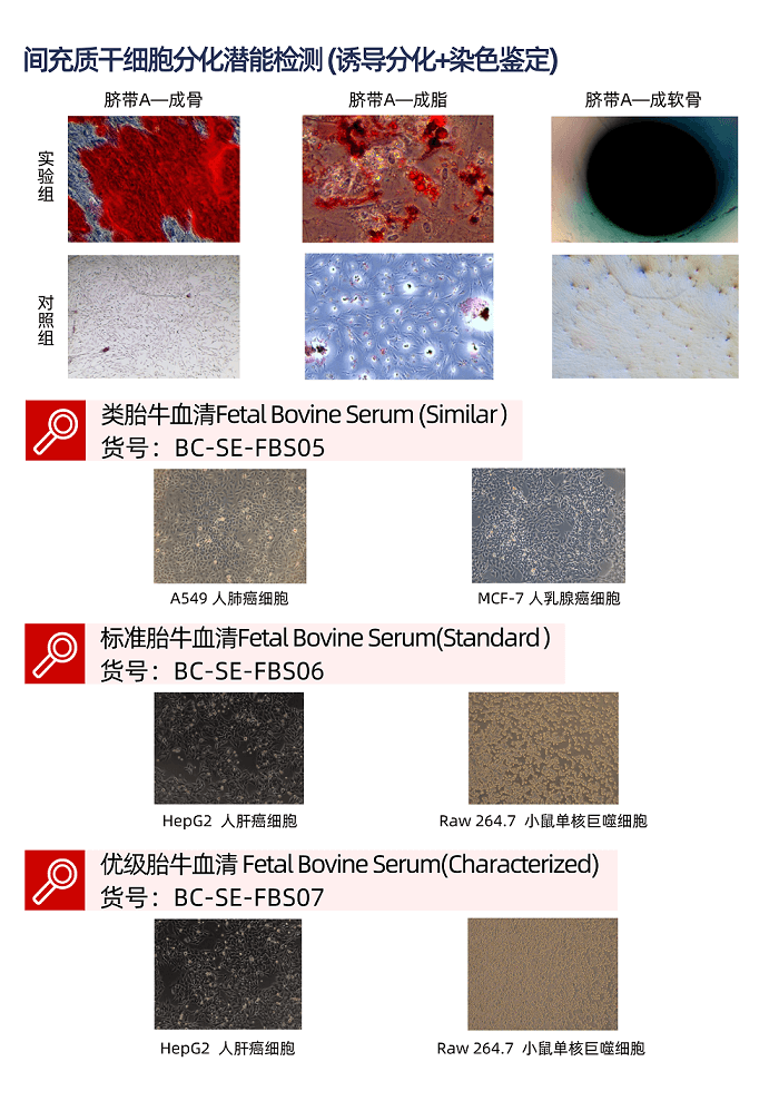 第4頁(yè) - 副本.png